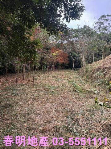 新竹芎林建地-8