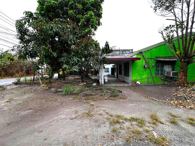 屏東高樹建地-4