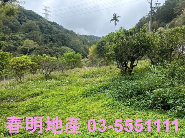 新竹建地-0