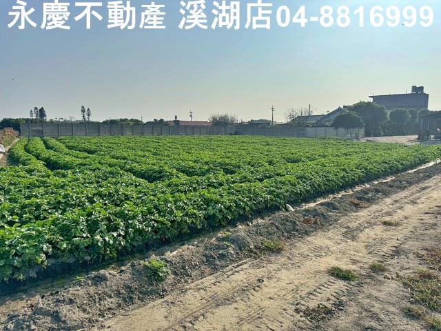 芳苑建地-6