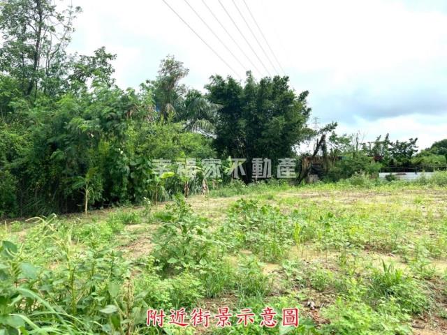 新化建地-11