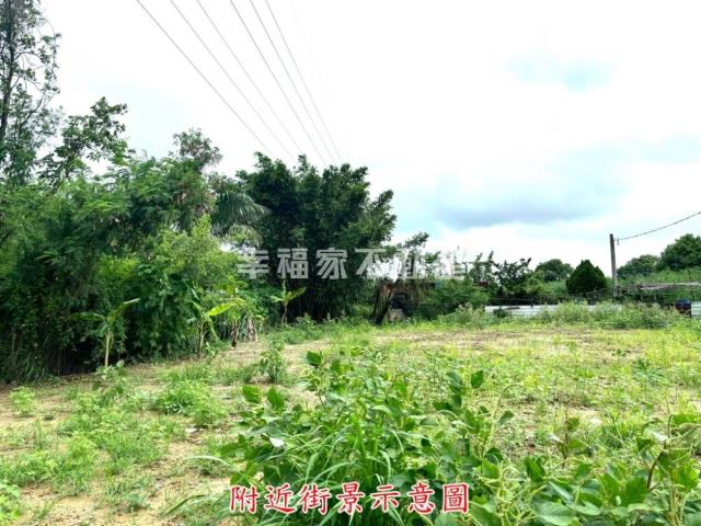新化建地-12