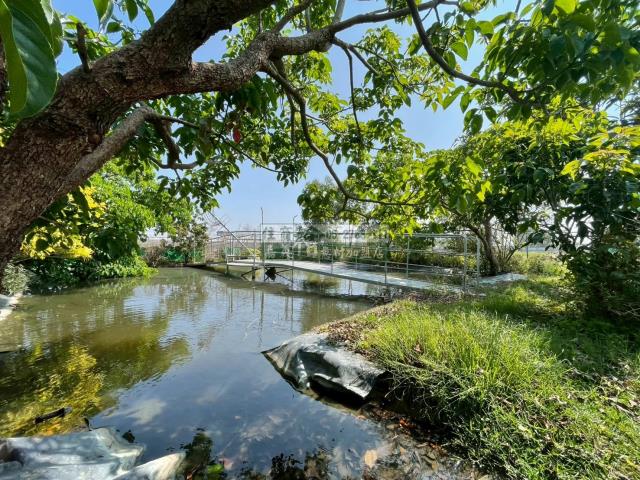嘉義民雄建地-7