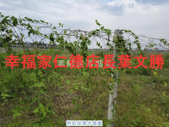 安南建地-10
