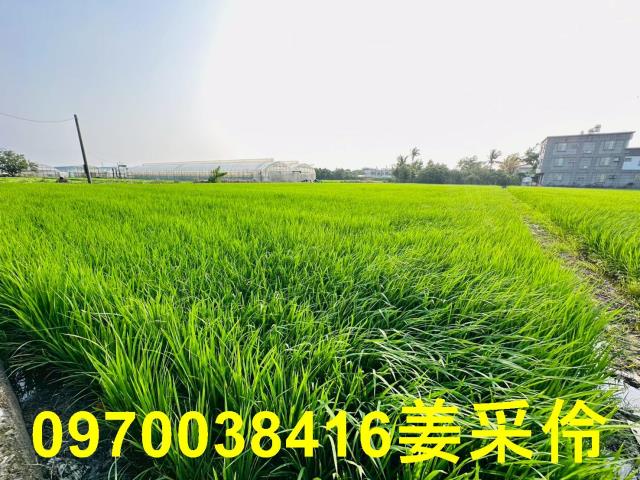 太保建地-4