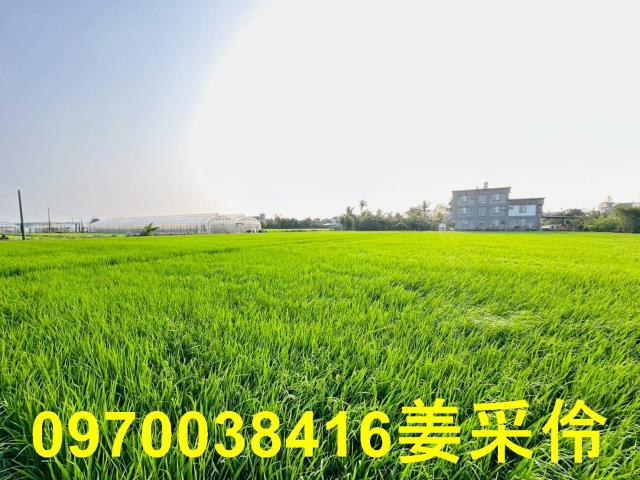 太保建地-5
