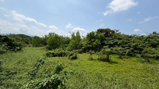 芎林建地-8
