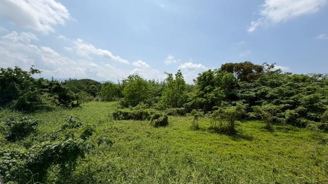 芎林建地-9