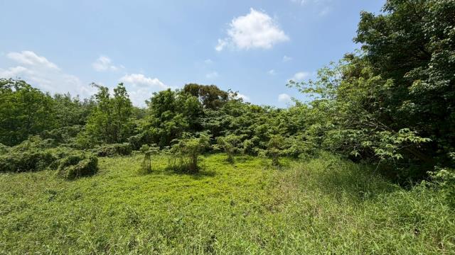芎林建地-10