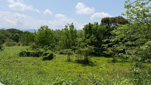 芎林建地-4
