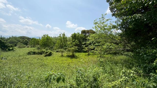芎林建地-5