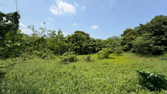 芎林建地-6