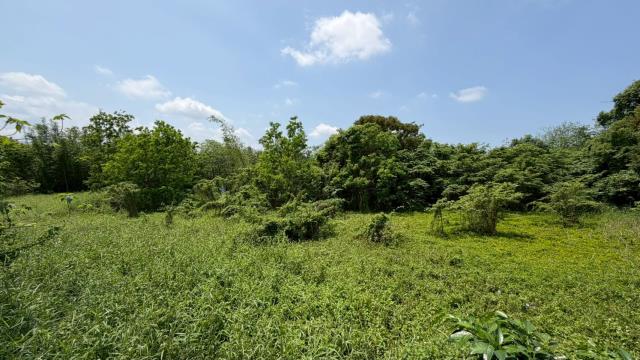 芎林建地-7