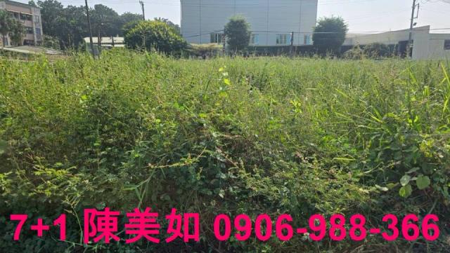 高雄仁武建地-0