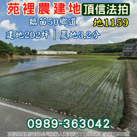 苑裡建地拍賣-0