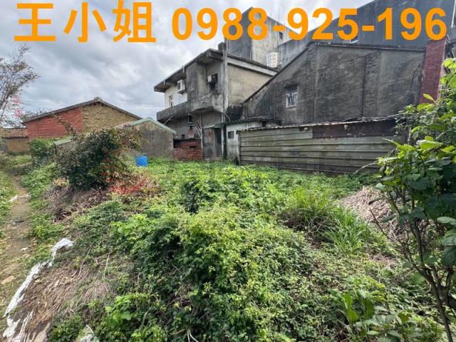 蘆竹建地-1