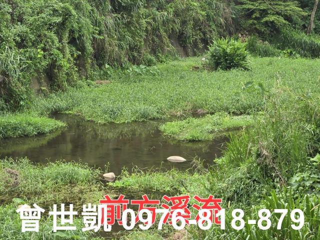 新竹關西建地-8