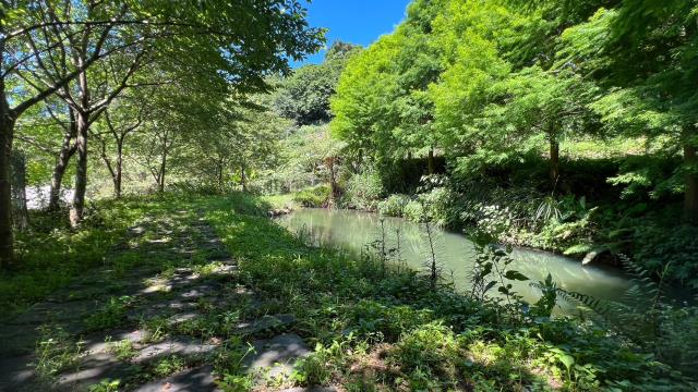 新竹建地-11
