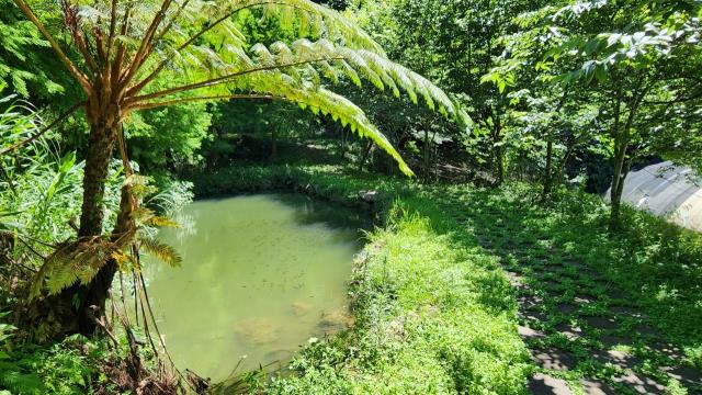新竹建地-13