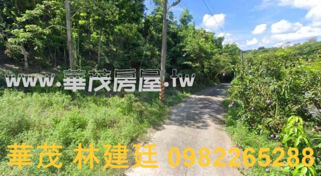 玉井建地拍賣-1