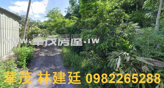 玉井建地拍賣-3