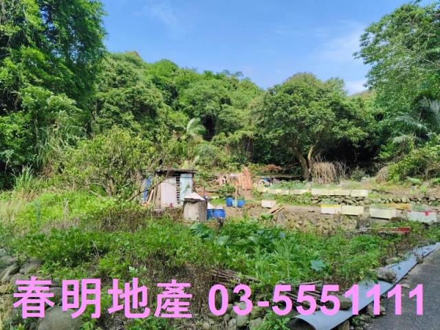 新竹建地-14