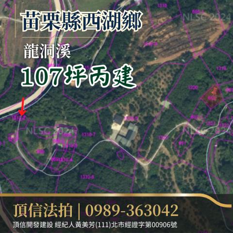 西湖法拍建地-2