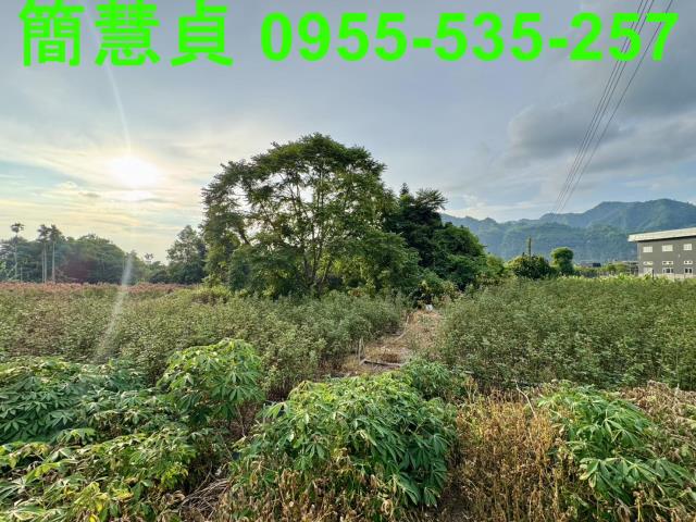 南投草屯建地-2