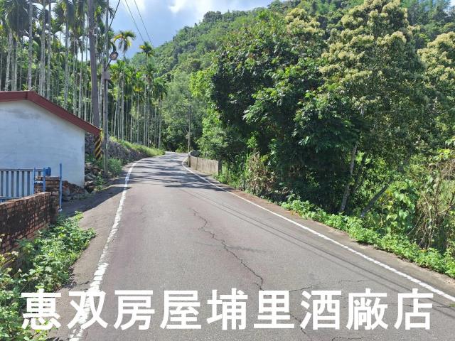 南投埔里建地-0