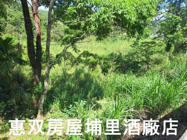 南投埔里建地-1