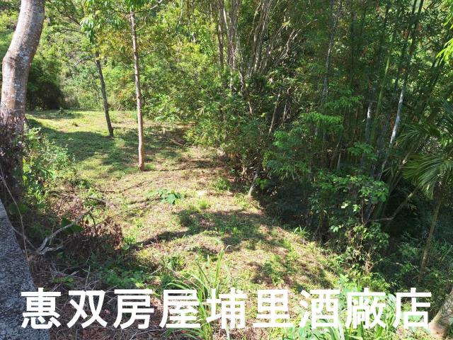 南投埔里建地-2