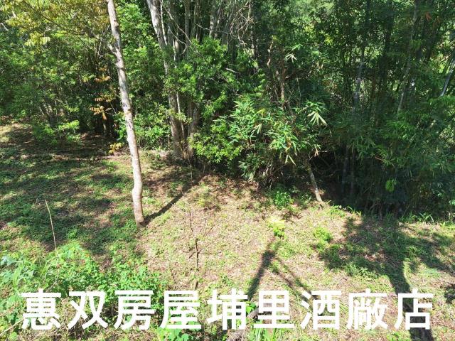南投埔里建地-3