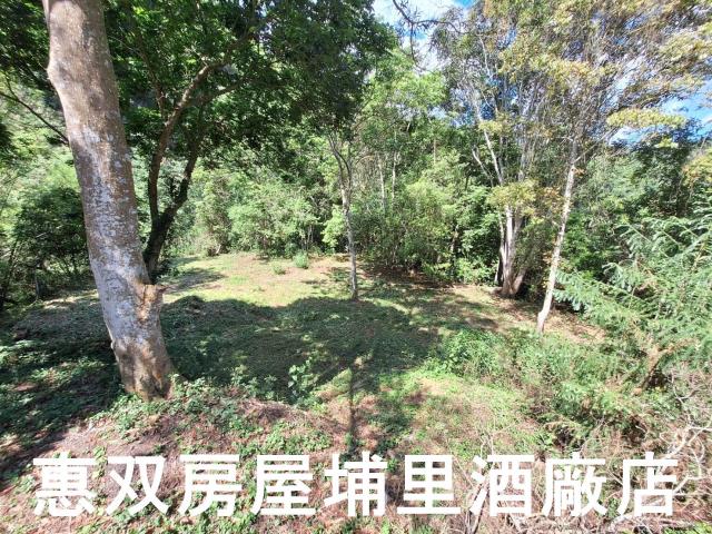 南投埔里建地-4