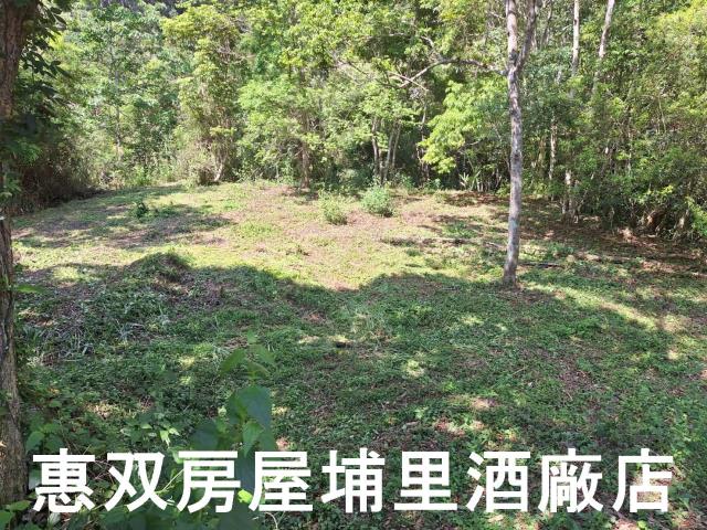 南投埔里建地-5