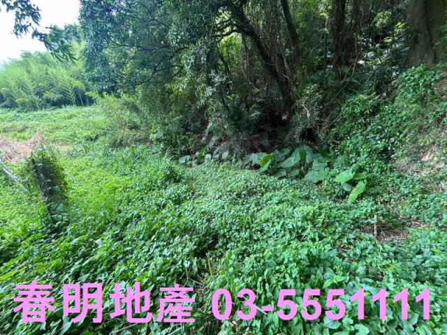 峨眉建地-3
