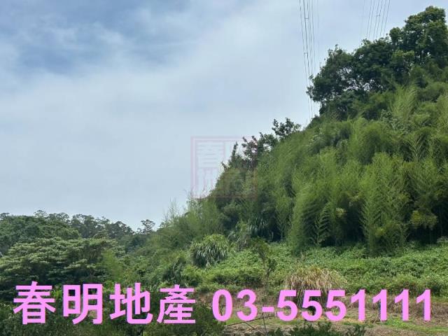 峨眉建地-4