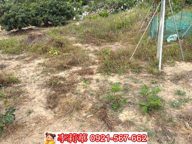 新化建地-3