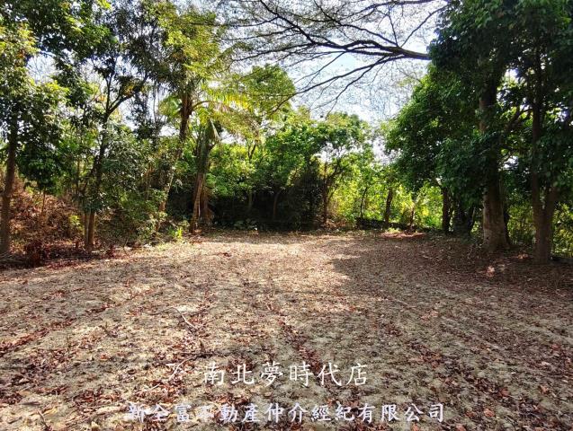 台南左鎮建地-4