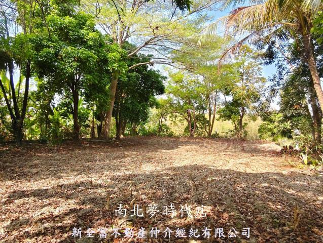 台南左鎮建地-5
