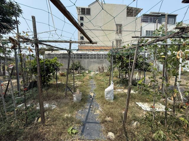橋頭建地-3