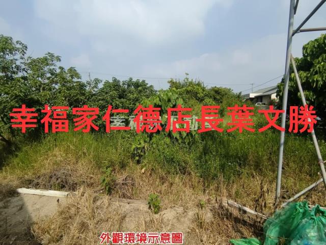 台南建地-15