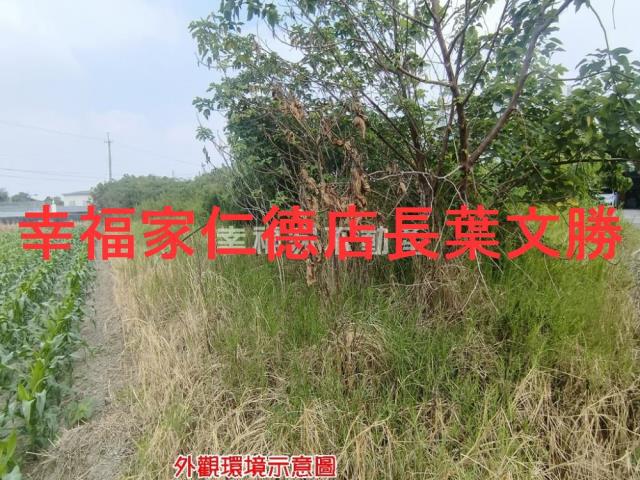 台南建地-28