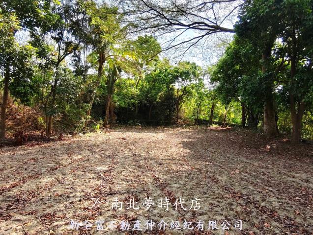 左鎮建地-4