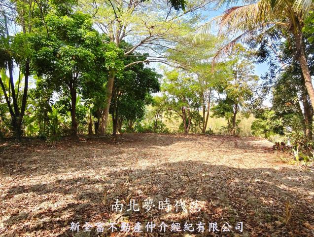 左鎮建地-5