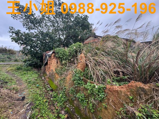 桃園蘆竹建地-4