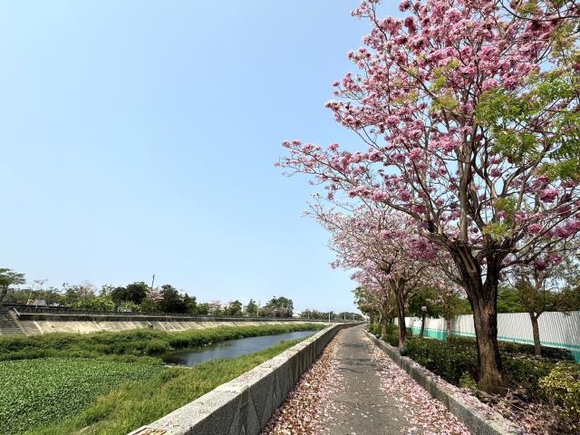 橋頭建地-12