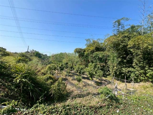 燕巢建地-13